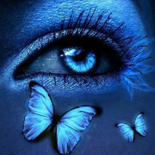 Nvlle Lune 18.11.17 : “D’un Papillon à une Etoile”